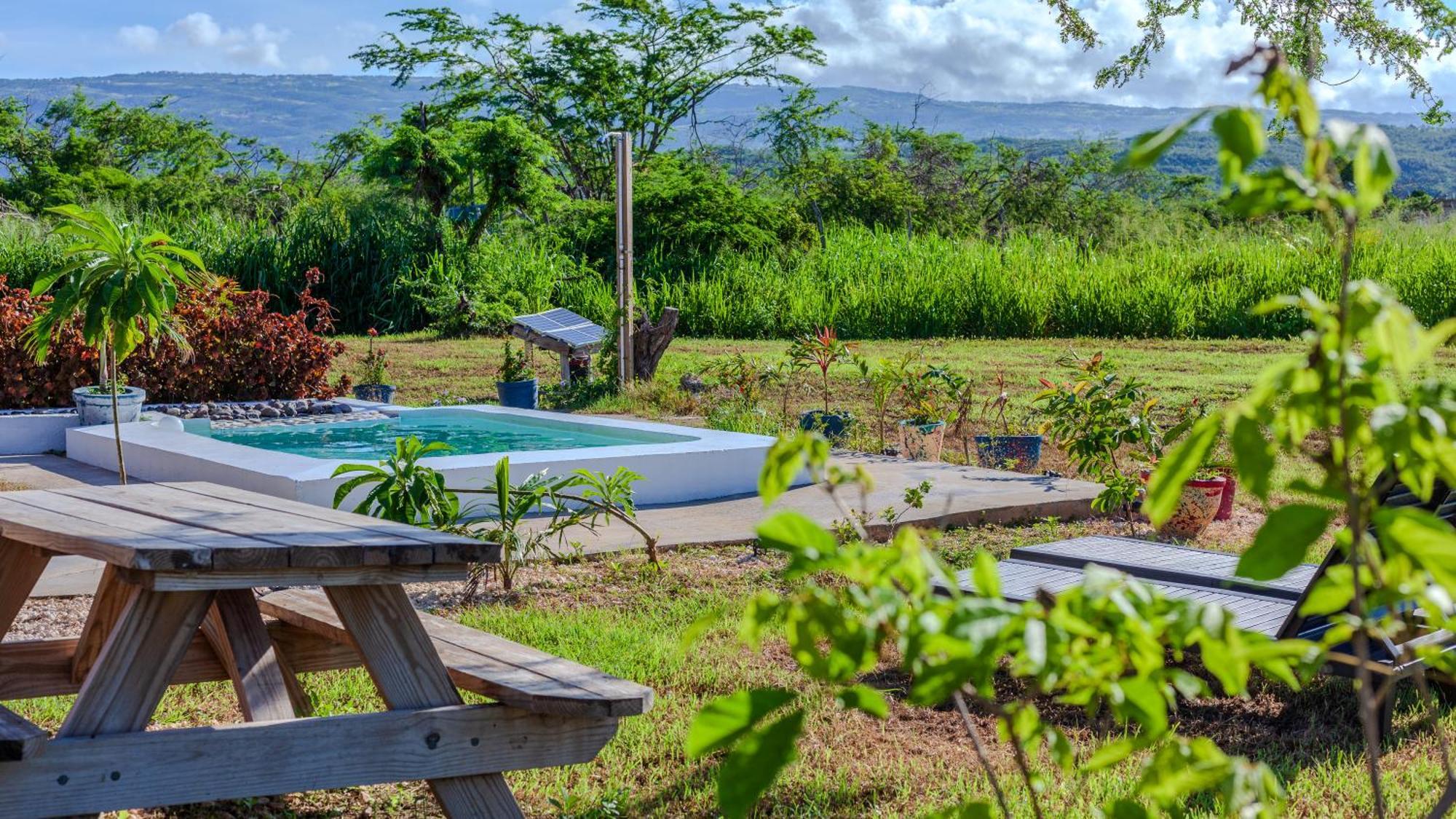 Cashaw Cabin - Private Retreat With A Pool Treasure Beach Exterior photo