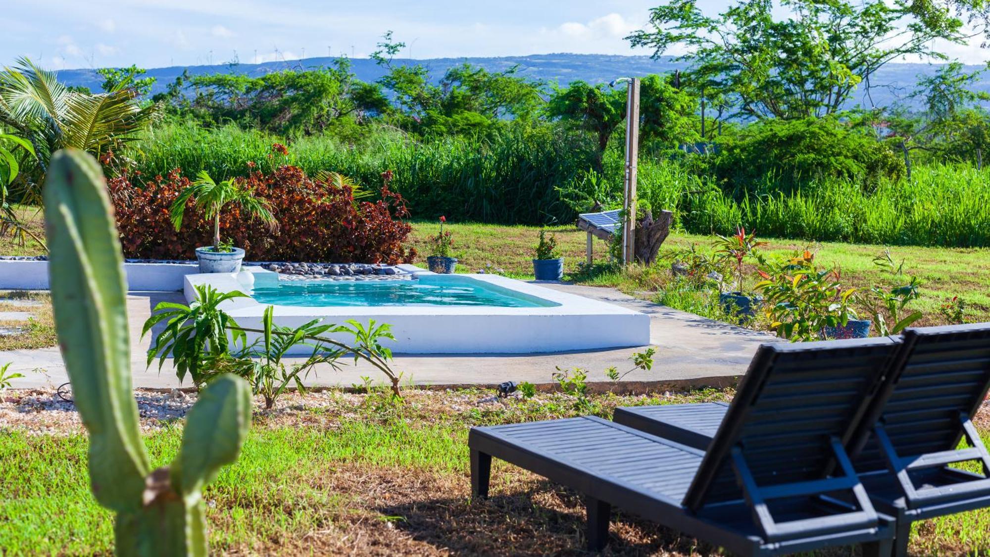 Cashaw Cabin - Private Retreat With A Pool Treasure Beach Exterior photo